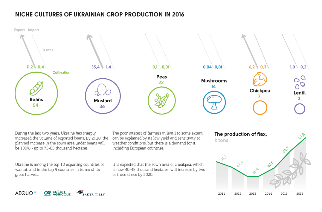 Niche culture of ukrainian crop production in 2016